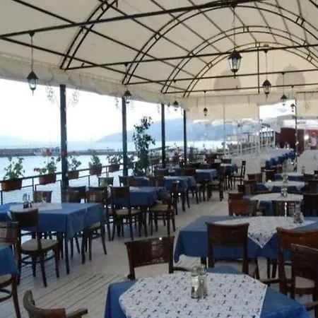 Lotos Balçık