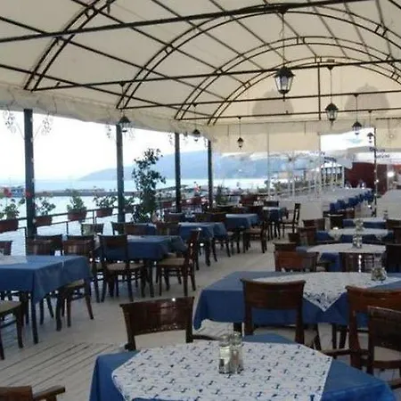 Lotos Balçık
