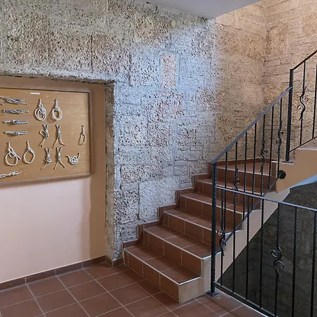 Lotos Balchik
